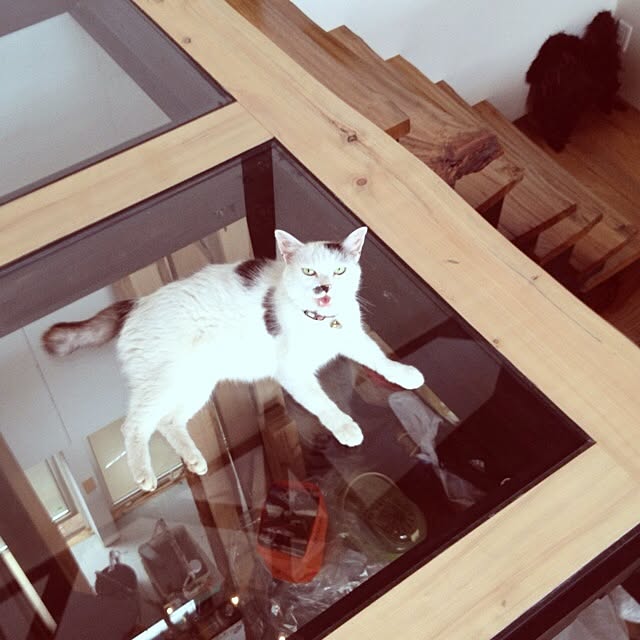 kiku1974さんの実例写真