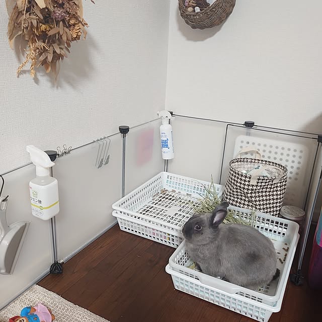 kirariさんの実例写真