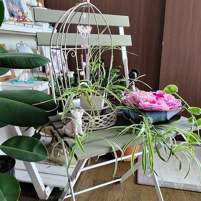 kiraさんの部屋