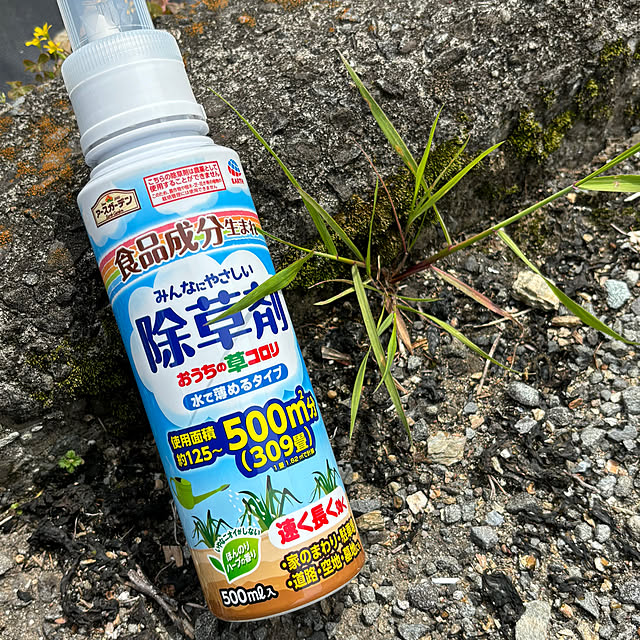 SIELUさんの実例写真