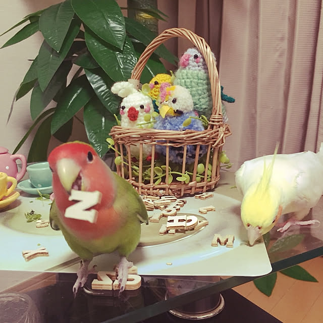 toratanさんの実例写真