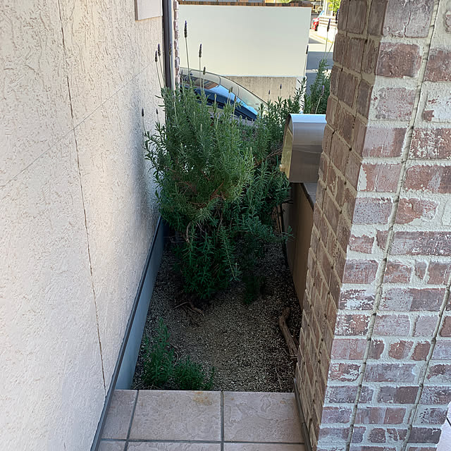 shoconyanさんの部屋