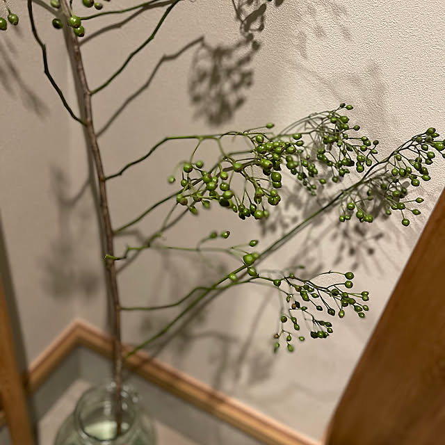Y33355さんの部屋