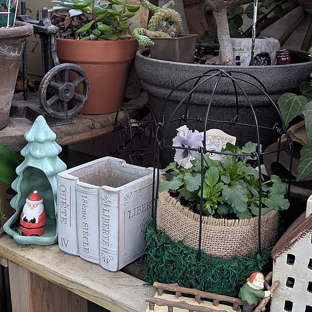 ichi.さんの実例写真