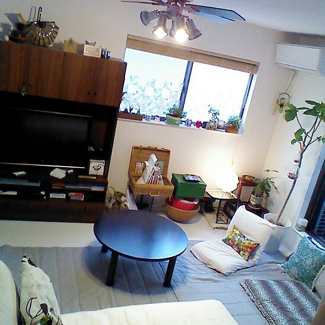 kotoikkiさんの実例写真