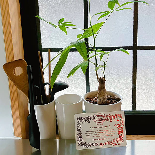 akanekoさんの実例写真