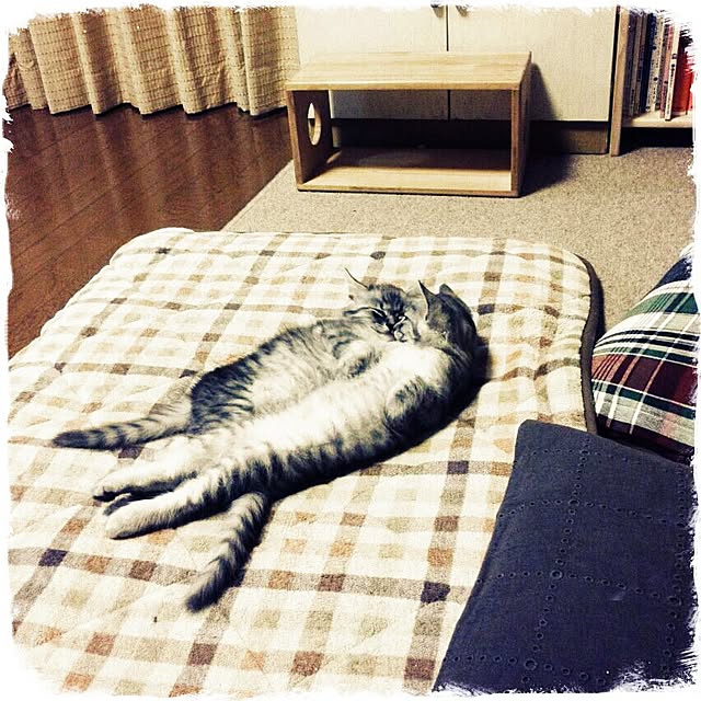 kurumin5さんの実例写真