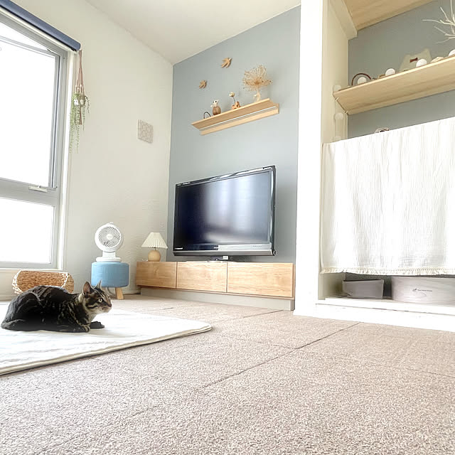 myuさんの部屋