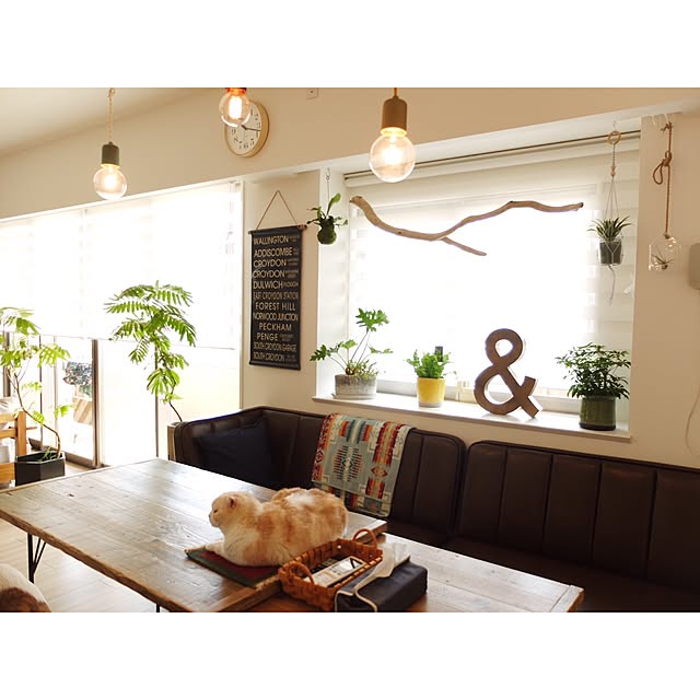 hara0707さんの実例写真