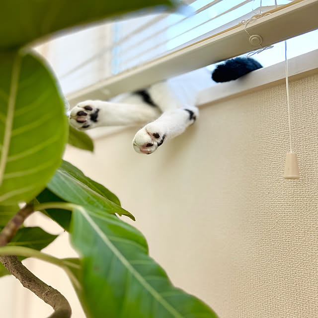 Miyu_さんの部屋