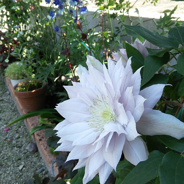 Hinataさんの実例写真
