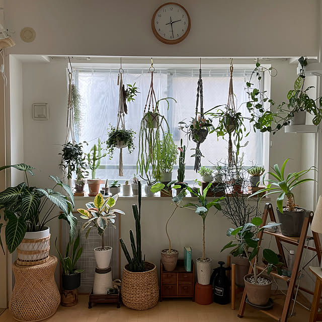 seseriさんの部屋