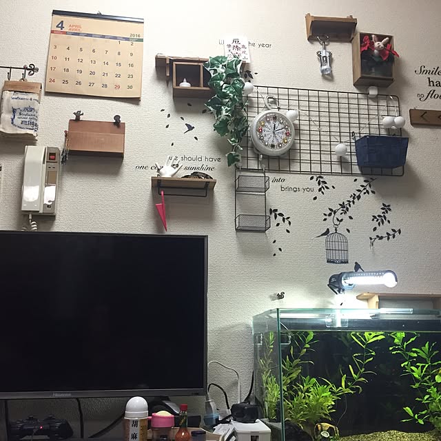 tsuguさんの実例写真