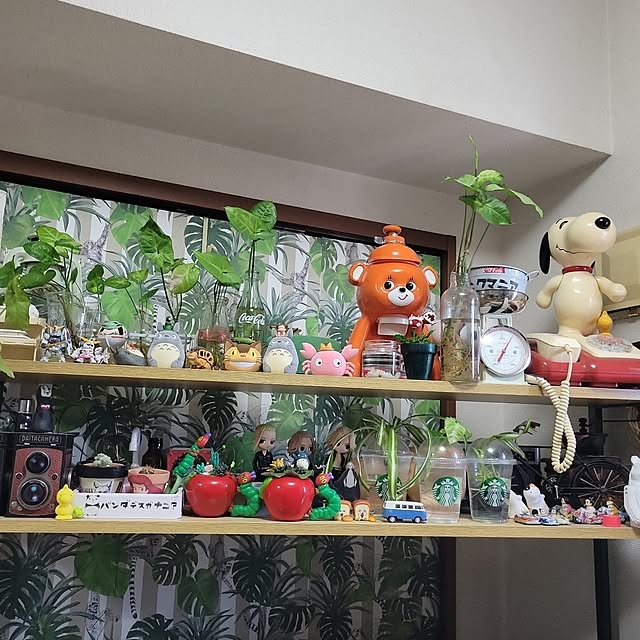 ANTENNAさんの実例写真