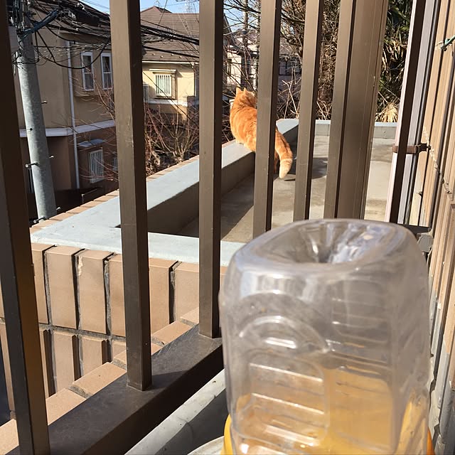 m.kantoh18_mikkoさんの実例写真