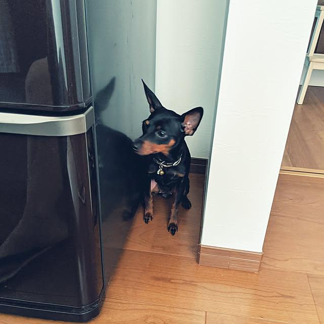 shizuponさんの実例写真