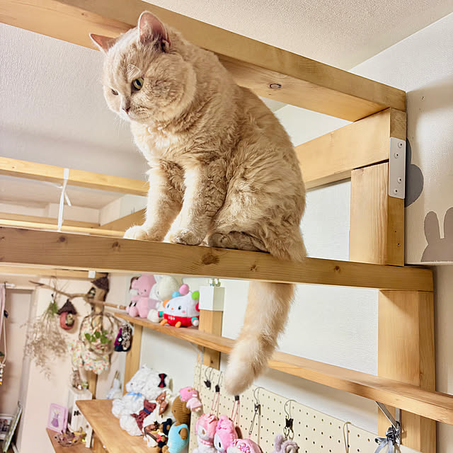 naokoさんの部屋