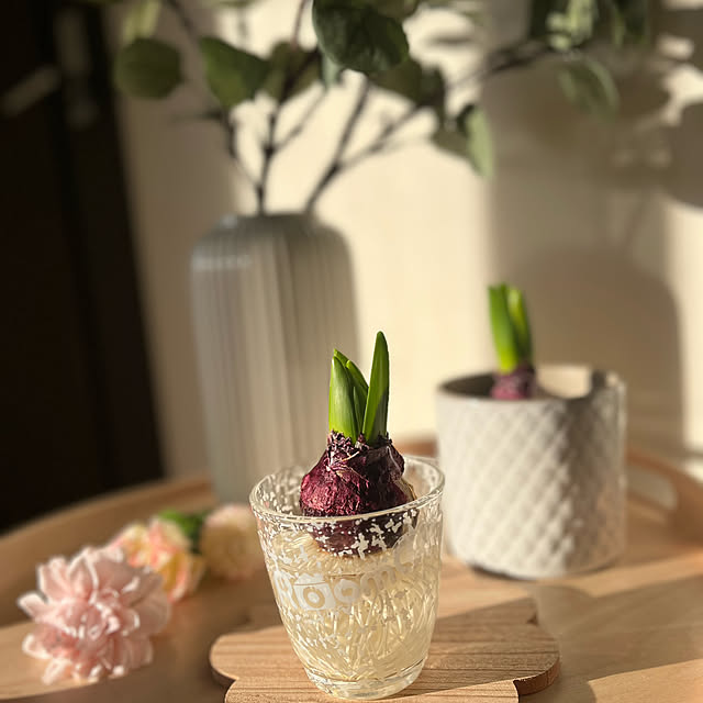 rikuerinka86さんの部屋