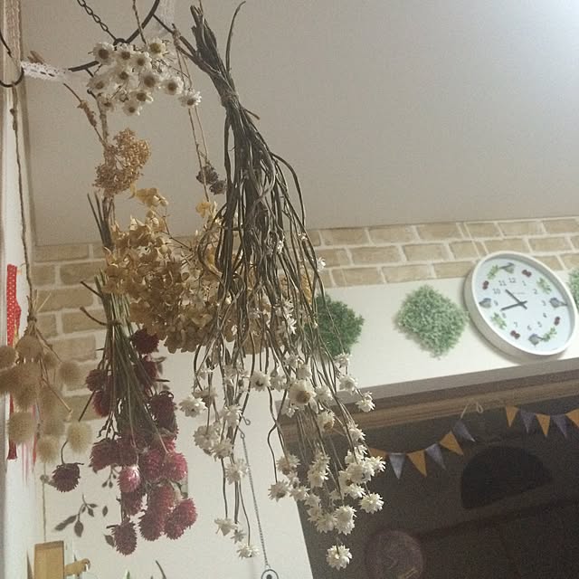 misakiさんの実例写真