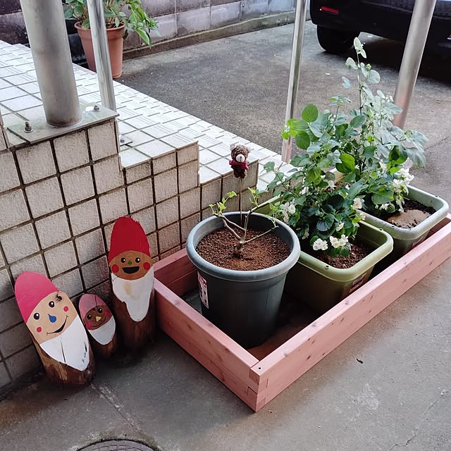 momomamaさんの実例写真