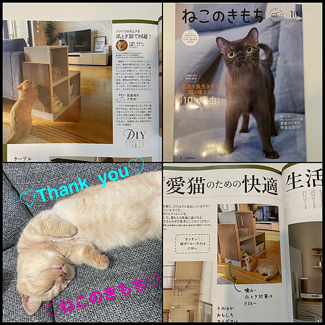 rilakkumamaさんの実例写真