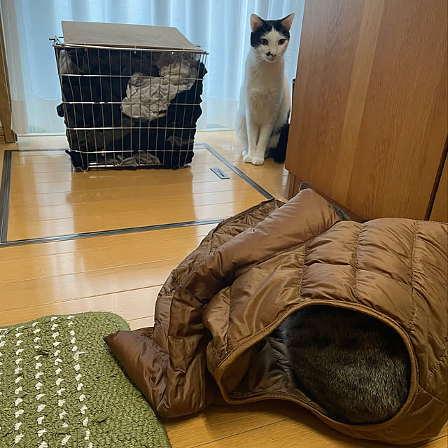 nobikoさんの実例写真