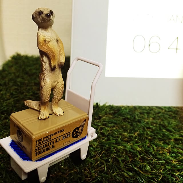 re-Aさんの実例写真