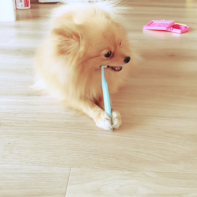 Kさんの実例写真