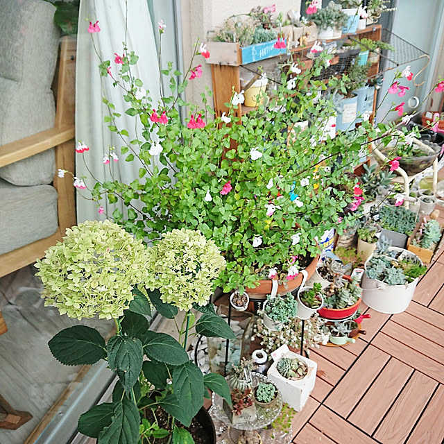 sakusakuさんの実例写真