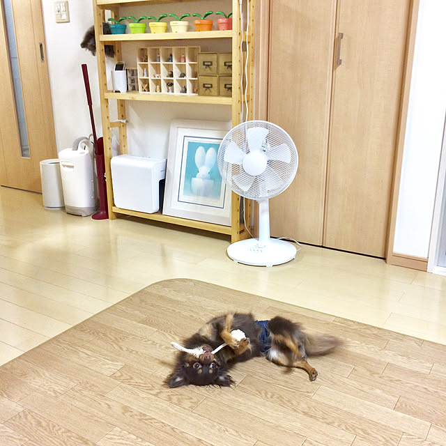 miyuさんの実例写真