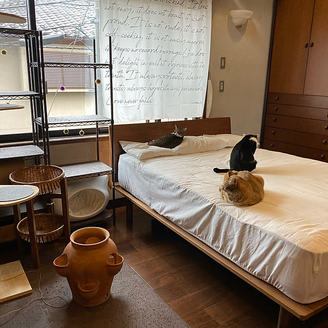 chokku23さんの実例写真