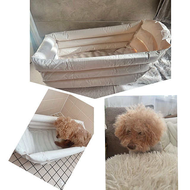 rookuさんの部屋