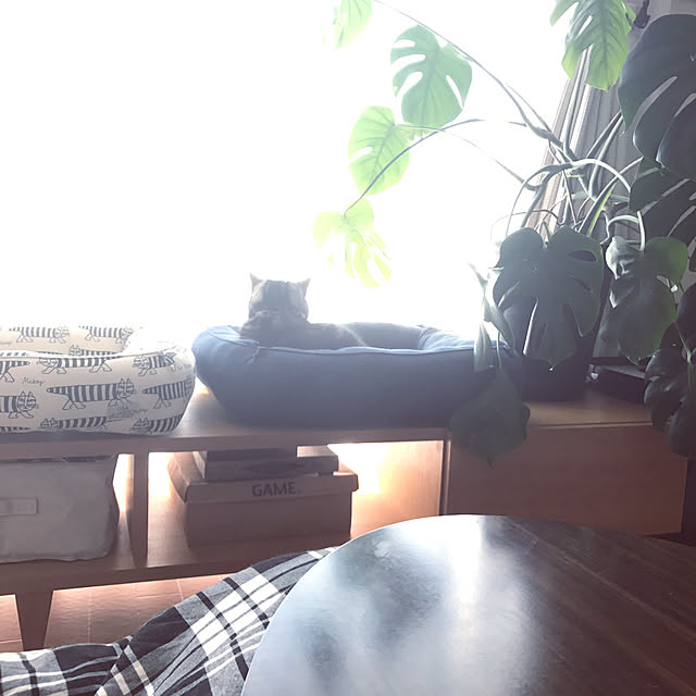 hiyupan88さんの実例写真
