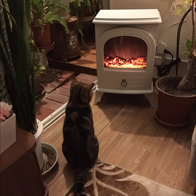 nanamanさんの実例写真