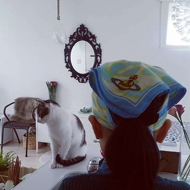 runayucoさんの実例写真