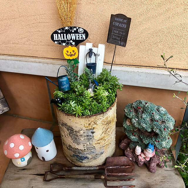 nokkoさんの実例写真