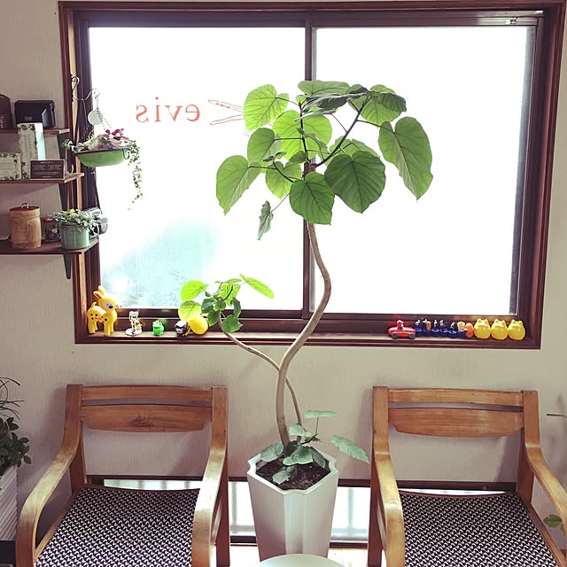 evis73さんの実例写真