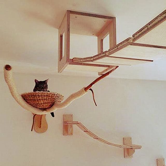 nyakanyakaさんの実例写真