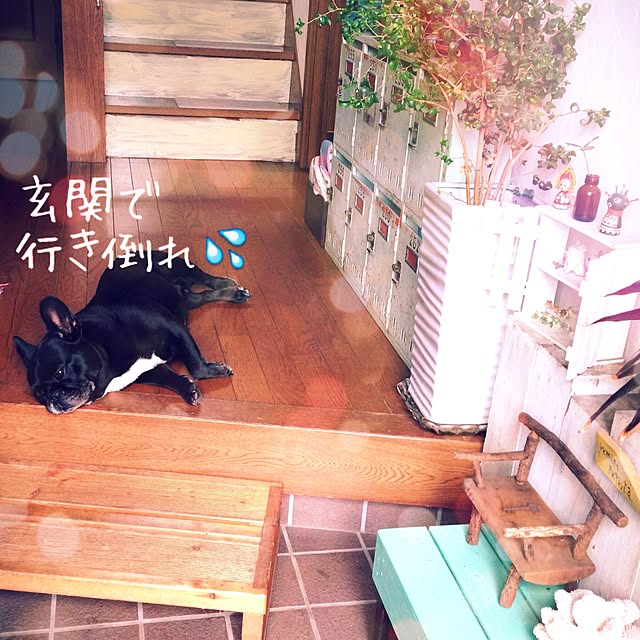38coreさんの実例写真