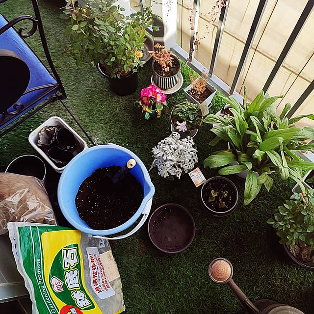 Tackunさんの実例写真