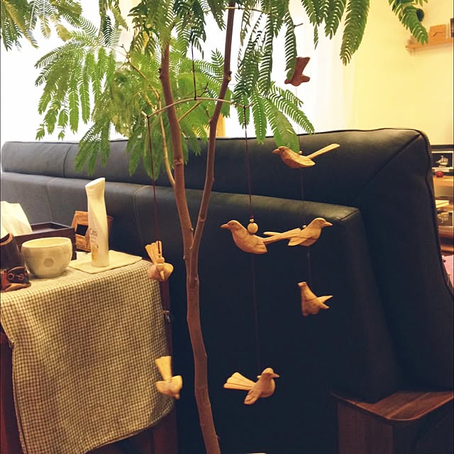 naosukeさんの実例写真