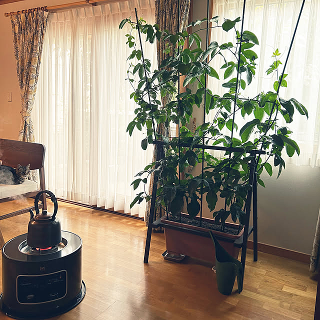 botanさんの実例写真