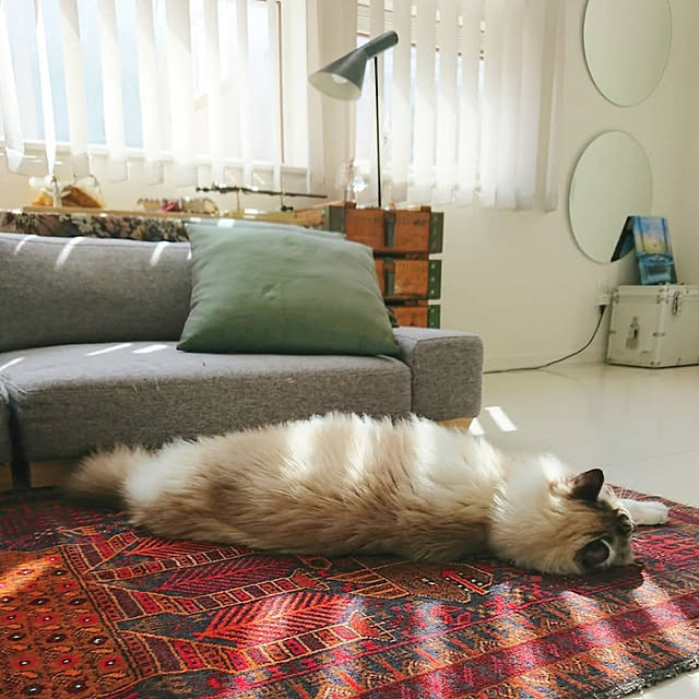 nonononakaさんの実例写真