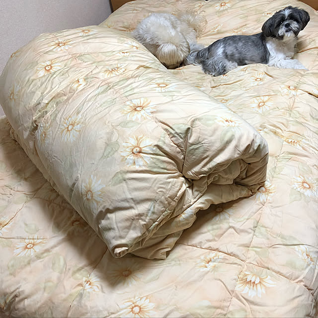 tenmaruさんの実例写真