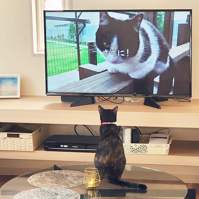 Rinさんの実例写真