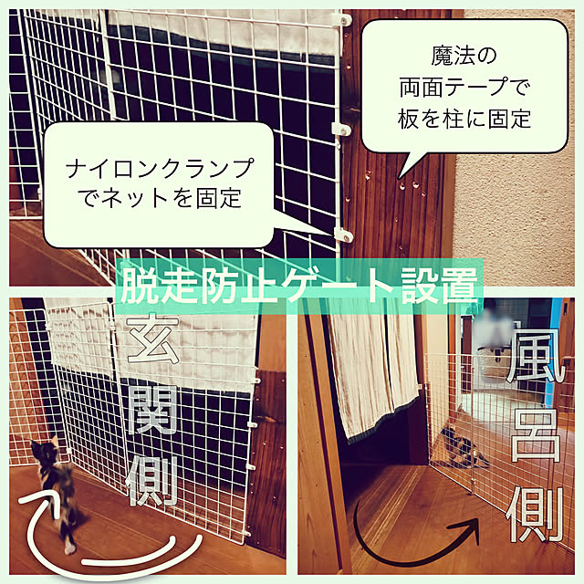 maroさんの実例写真