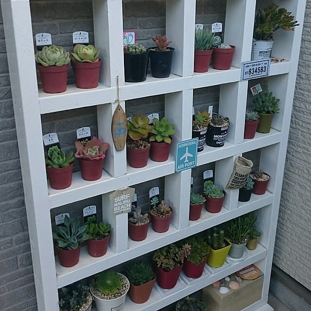 hideさんの実例写真