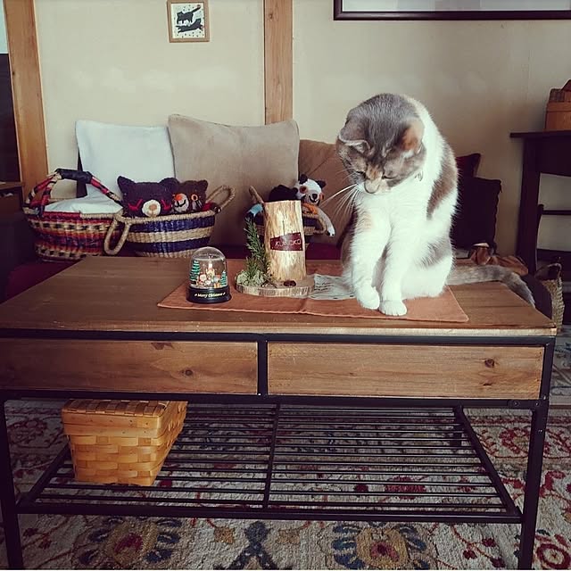 fukuさんの部屋