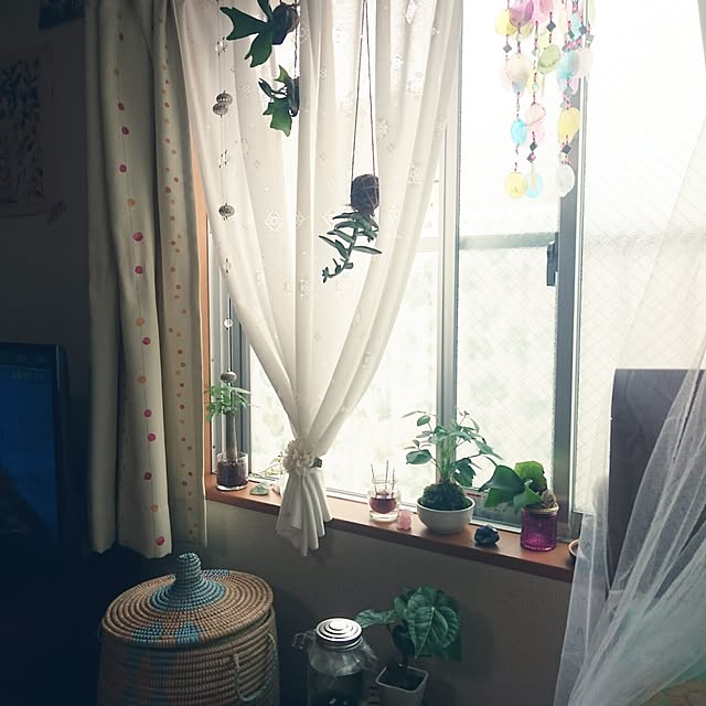 akinaさんの実例写真