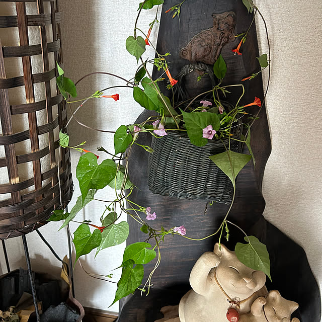ritsukoさんの部屋